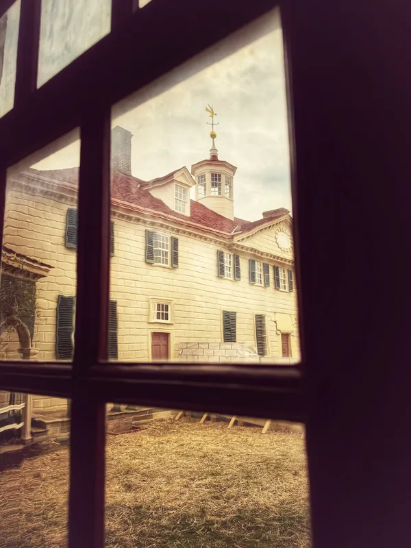 Pane to Vane thumbnail