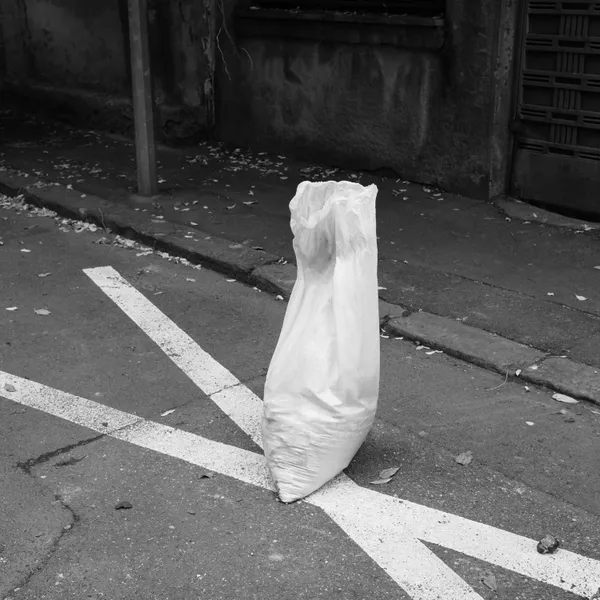 Sculptures of Everyday Resistance: Improvised Acts of Ownership in Bucharest’s Streets thumbnail