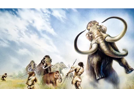 Contrary to popular beliefs, Neanderthals lived in complex societies and hunted prey cooperatively.