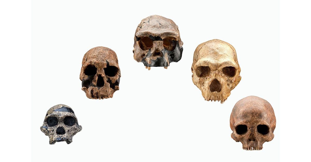 An Evolutionary Timeline of Homo Sapiens | Science | Smithsonian Magazine