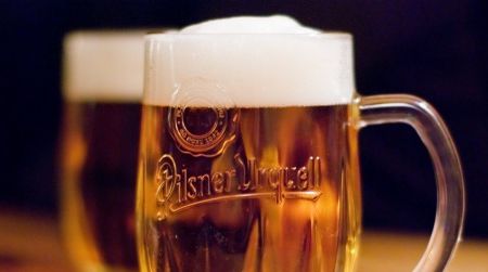 Scientists recently discovered the wild yeast that came to be used to brew lager beer.