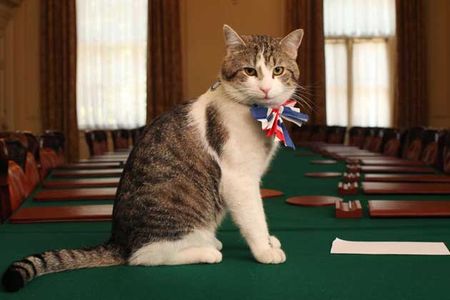 Larry, Chief Mouser to the Cabinet Office