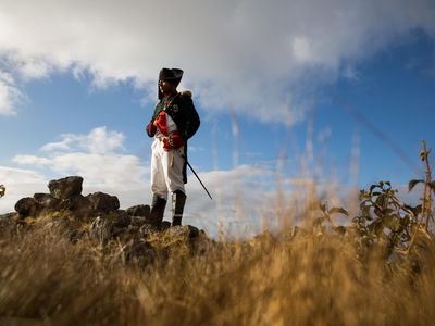 Napoleon cover image