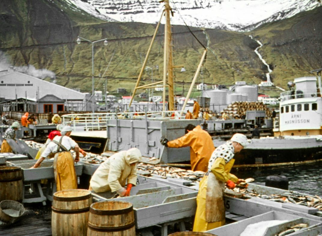 Herring girls at work in an undated photo