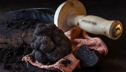 How Truffles Took Root Around the World
