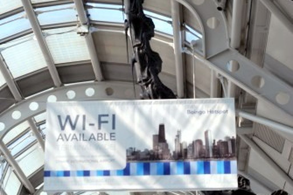 20110520083235Chicago-Brachiosaurus.jpg