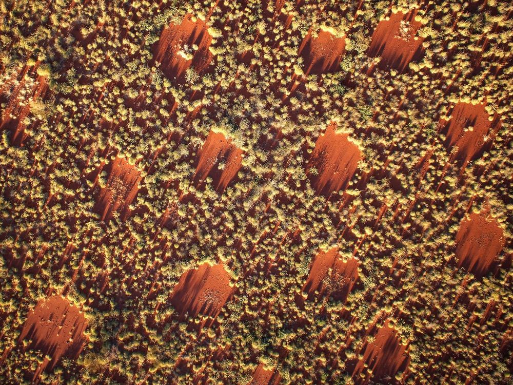 Aerial photograph shows fairy circles at sunset