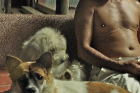 A Vietnamese man lovingly gazes at his dog, Op-kun (front). Two days later, Op-kun was snatched up by a restaurant thief and never seen again.