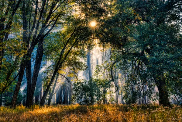 Smoke on the valley floor, Yosemite National Park thumbnail