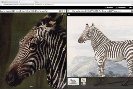 Compare two paintings of zebras with new IIIF functionality.