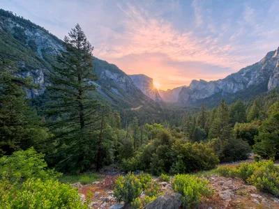 Treasures of Yosemite