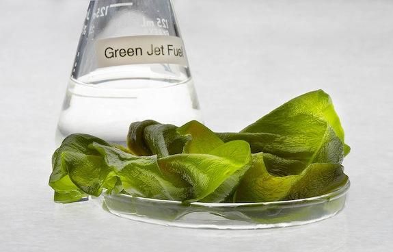 algae-based biofuels