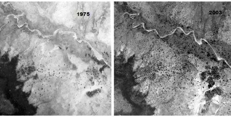 The “Great Green Wall” Didn’t Stop Desertification, but it Evolved Into Something That Might