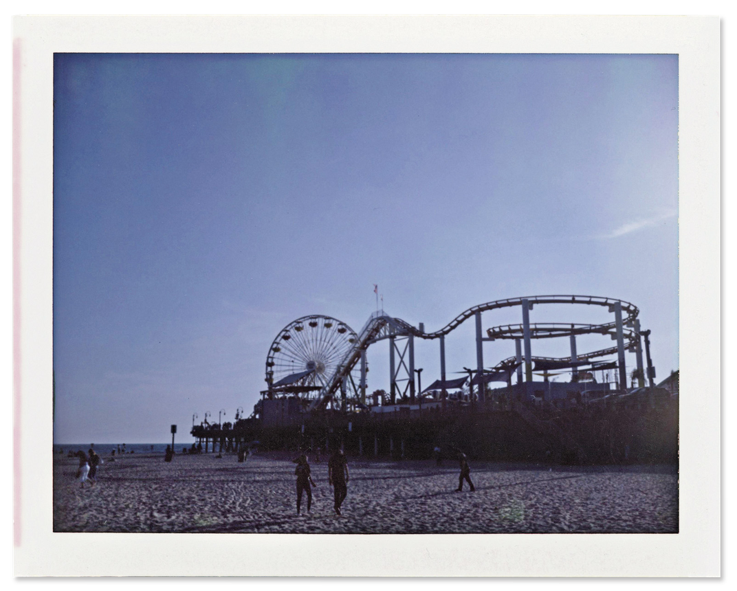 The Ferris wheel and roller coaster