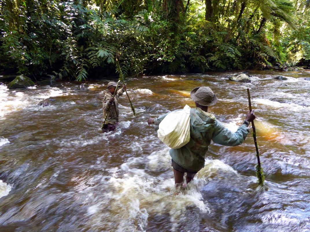 This photograph shows two park rangers wading through a river where the water is knee-deep