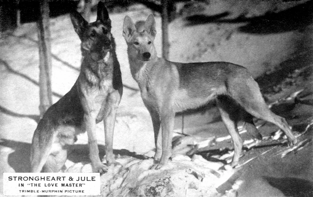 A promotional photo of Strongheart and Lady Jule (also known as Lady Julie)