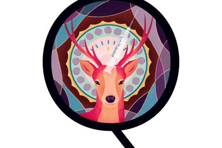 When suburbanites want to limit the number of deer in their area, it can be easier said than done.