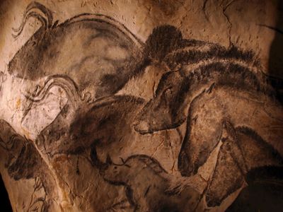 Stone-age cave paintings from the Chauvet cave.