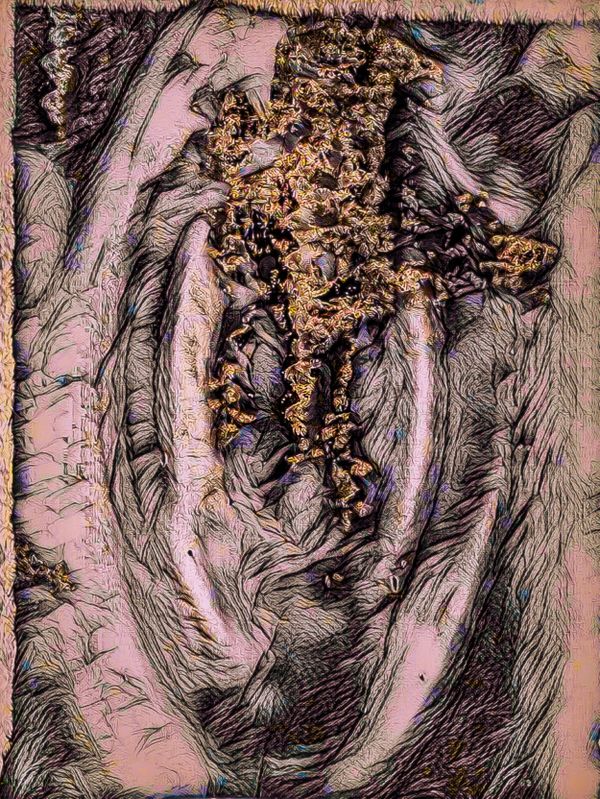 VULVACIOUS thumbnail