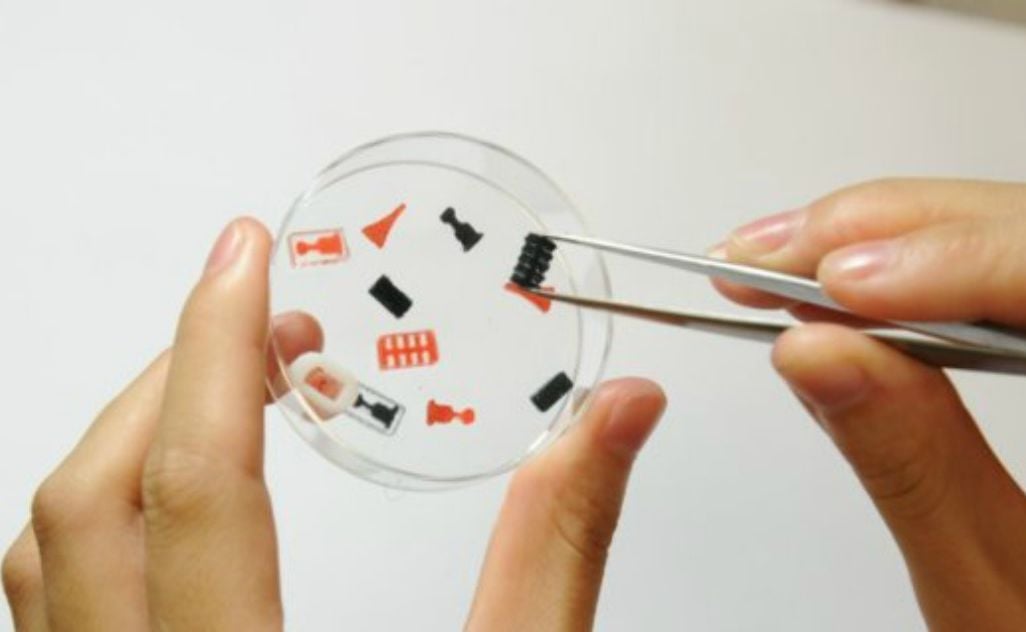 3D-Printed Pill