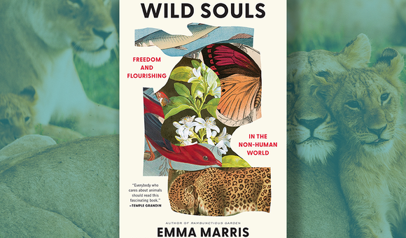 wild souls.png