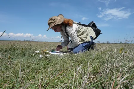 A person using a notebook while kneeling in grass on a sunny day in Kenya.