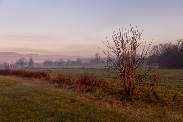 Golden hour misty rural landscape thumbnail