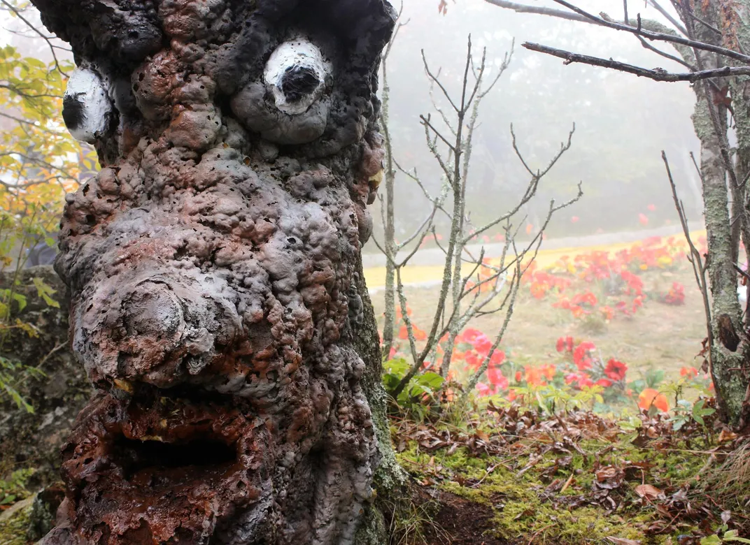 Tree with face and poppies