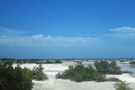 Chicxulub, Mexico, as it looks today.  Sixty-six million years ago, this was ground zero.