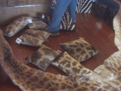 Giraffe pillows and hide for sale in Florida.