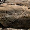 'Hunger Stones' With Ominous Messages Emerge in Drought-Parched Czech River icon