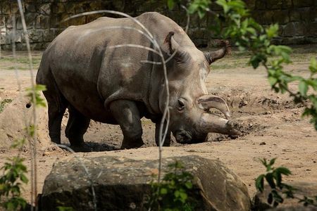 Nabiré had a chronic problem with uterine cysts, and the one that killed her was inoperable. 