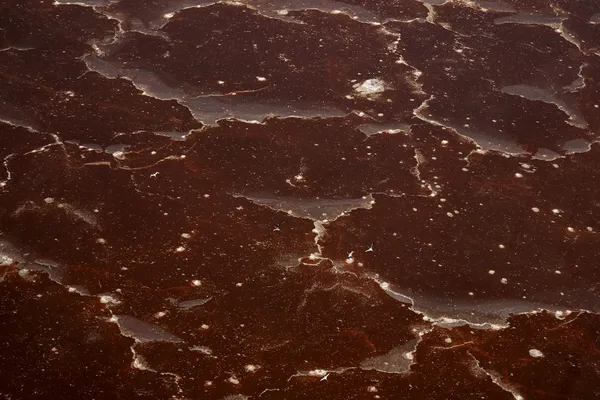 Flight to wonderland thumbnail