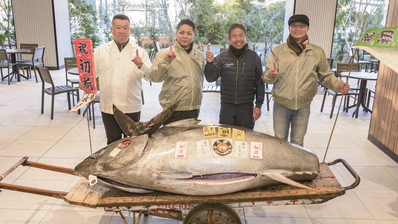 マグロ青蓄光　TUNA BLUE GID スシエルエー　マグロ untitled-8f880fd0-bc1e-45ae-