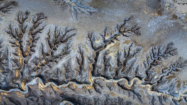 Golden traces after tide recedes thumbnail