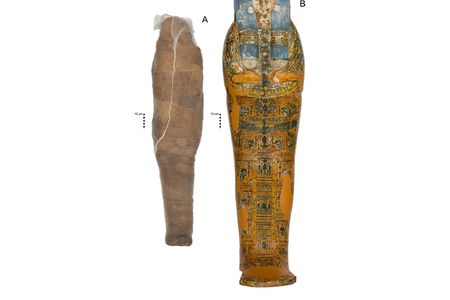 The mud shell was added after the woman's original mummification, perhaps to repair damage inflicted by grave robbers.