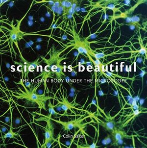 Preview thumbnail for Science Is Beautiful: The Human Body Under the Microscope