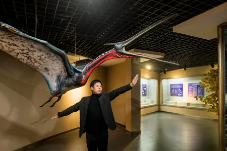Liu Cun Yu, the director of the Beipiao Pterosaur Museum, poses in front of a full-scale model of a Moganopterus zhuiana, a species named after his wife.
