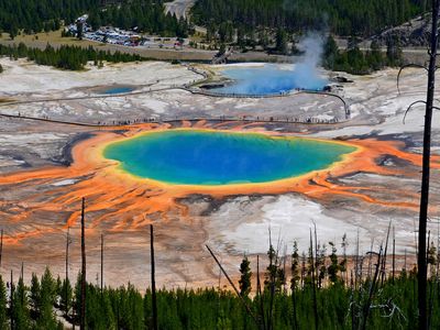 A hydrothermal pond in Yellowstone National Park: an analog site for where life originated? 