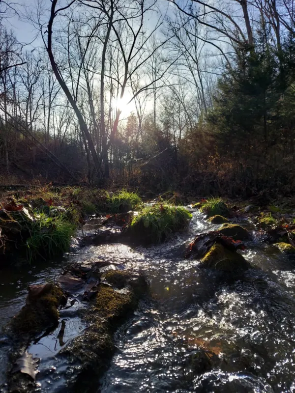 Creek below the house thumbnail