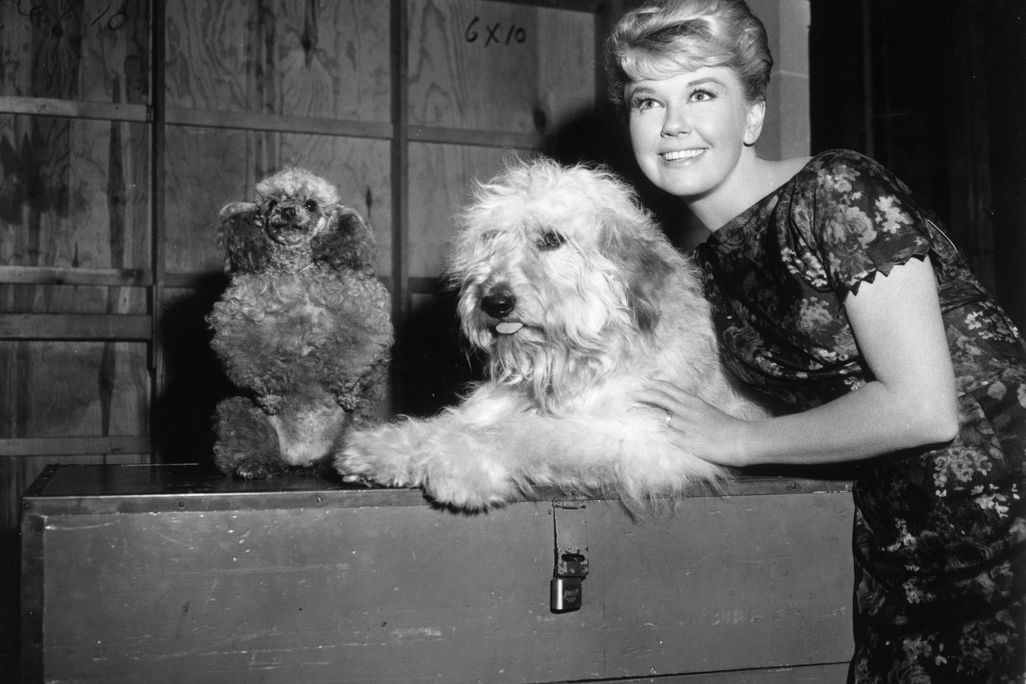 doris day