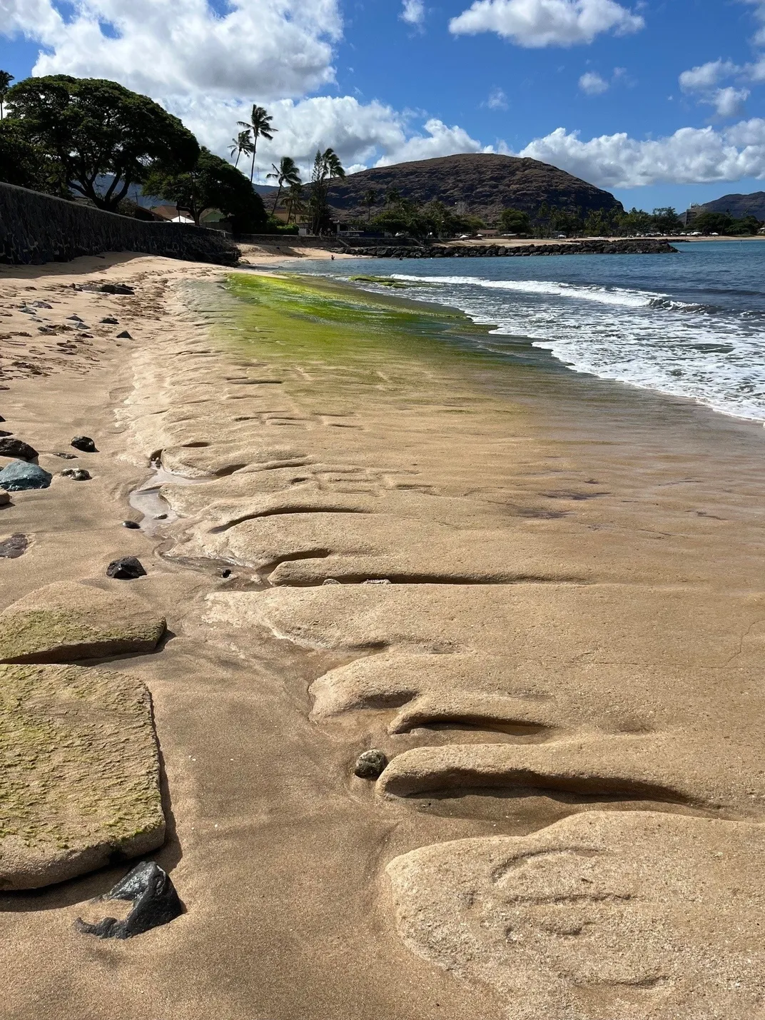 Long view of petroglyphs on beach