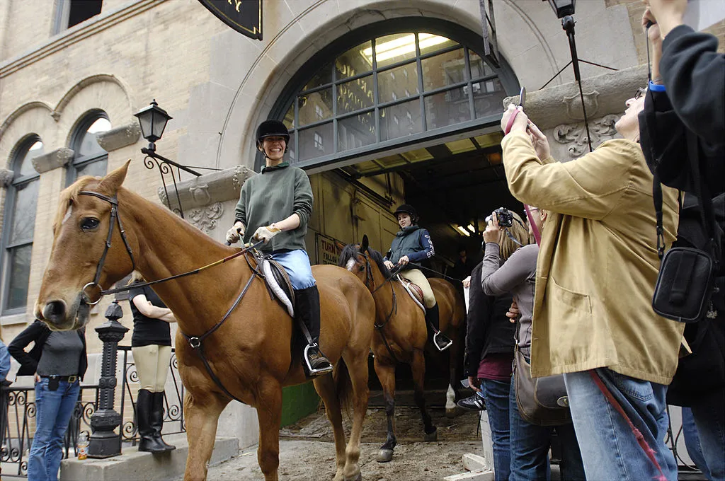 How America Became Obsessed With Horses