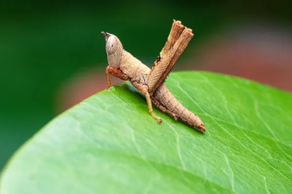 Stand My Ground thumbnail