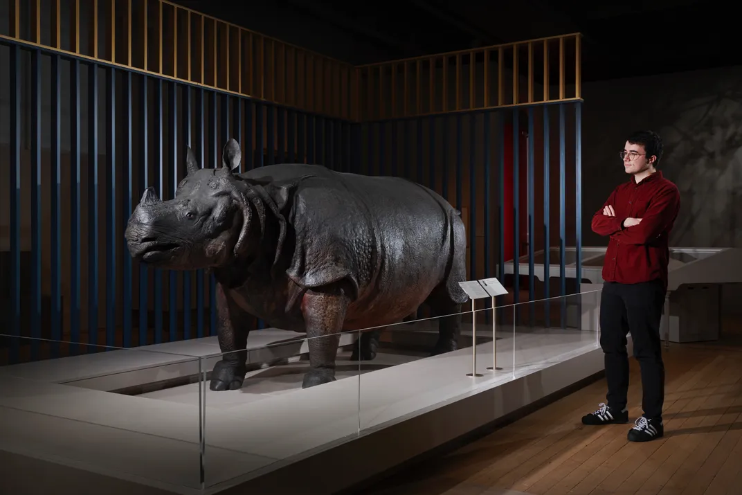 rhino