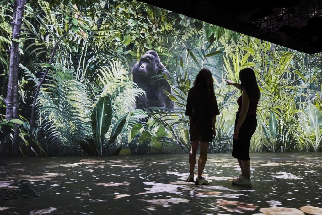 People standing in immersive exhibit