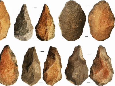 Early humans made stone tools out of whichever rocks happened to be lying nearby, ignoring quality in favor of convenience