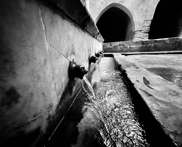 Lions breathing water, exploring Cefalù. thumbnail