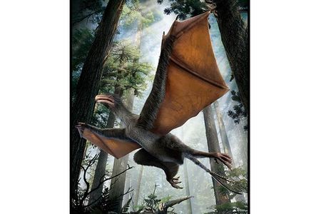 Bat-like Yi qi is the flying dinosaur this forest deserves. 