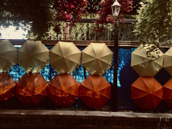 Sun Colors Adorn the Umbrellas thumbnail